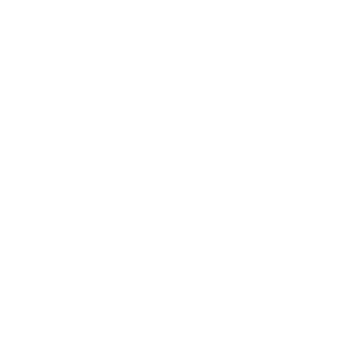 US Army